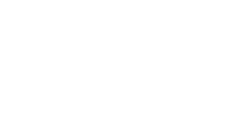Site icon white